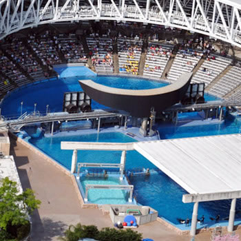 Cornerstone_Shamu-Stadium_Seat-Additions_Sea-World_Orlando